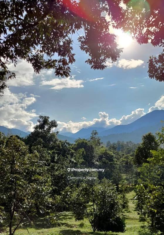 Agricultural Land for Sale in Ulu Slim, Slim River by Clemence Ngew - iProperty.com.my