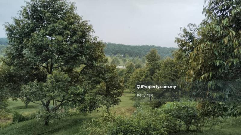 Tanah Pertanian untuk Dijual di Kampung Sungai Terap, Serdang oleh Kelly Yee - iProperty.com.my