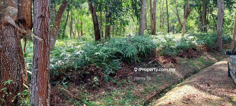 Bungalow Land for Sale in Bukit Tinggi, Bentong by Henry Ta - iProperty.com.my