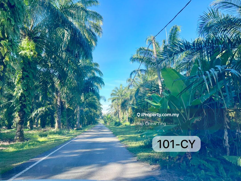 For Sale - 💯%SUPER BELOW MARKET! RM16psf🚨5 Acres Telok Panglima Garang Sijangkang FREEHOLD