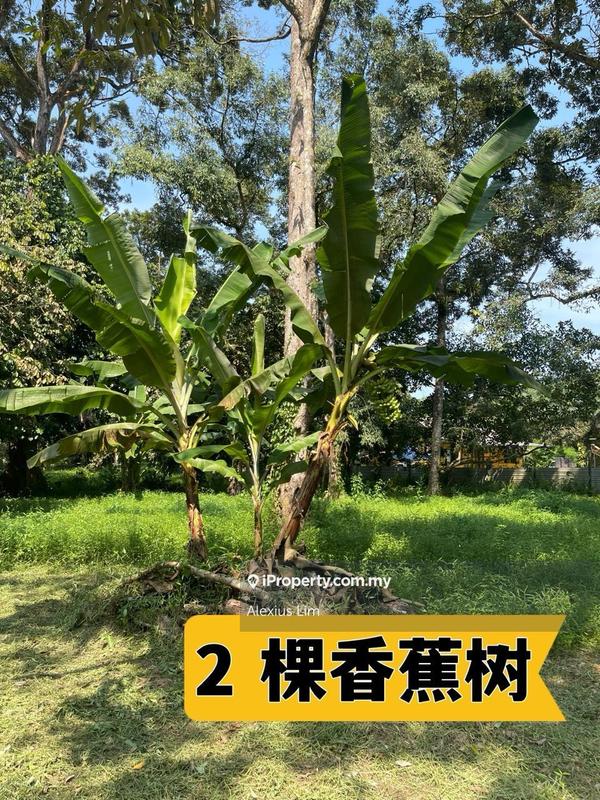 Tanah Pertanian untuk Dijual di Teluk Kerang, Pontian oleh Alexius Lim - iProperty.com.my