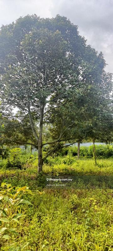 For Sale - Agricultural Land Tangkak, Johor