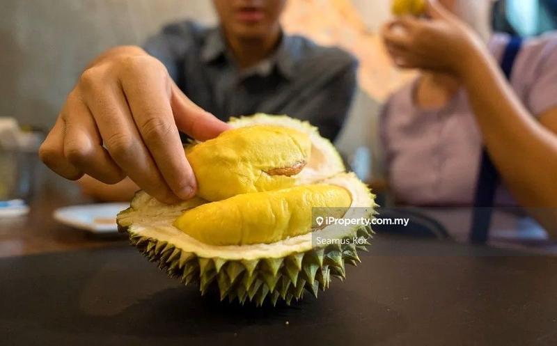 Hotel / Resort untuk Dijual di Karak, Pahang oleh Seamus Kor - iProperty.com.my