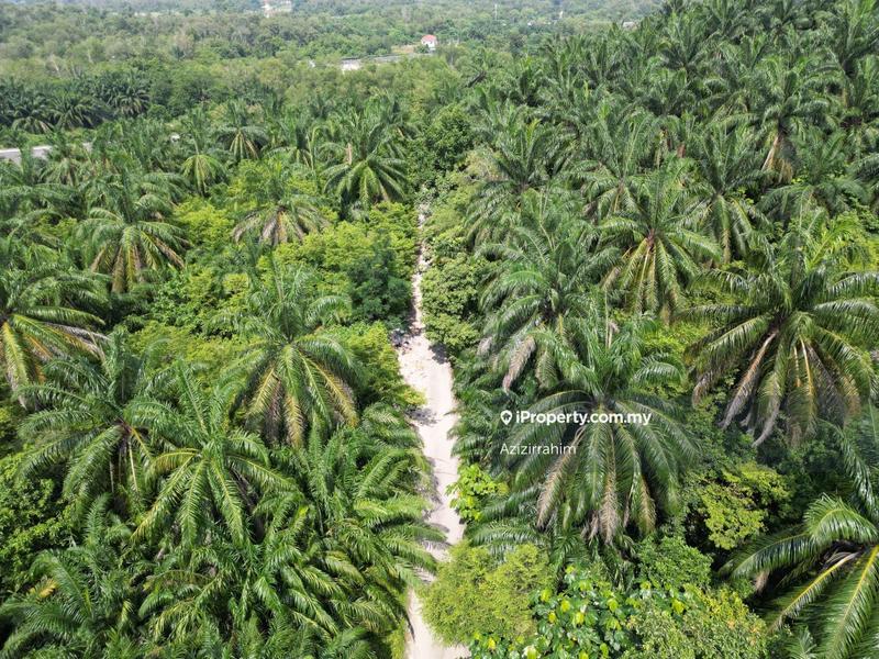 Tanah Kediaman untuk Dijual di Bukit Damar, Dengkil oleh Azizirrahim - iProperty.com.my