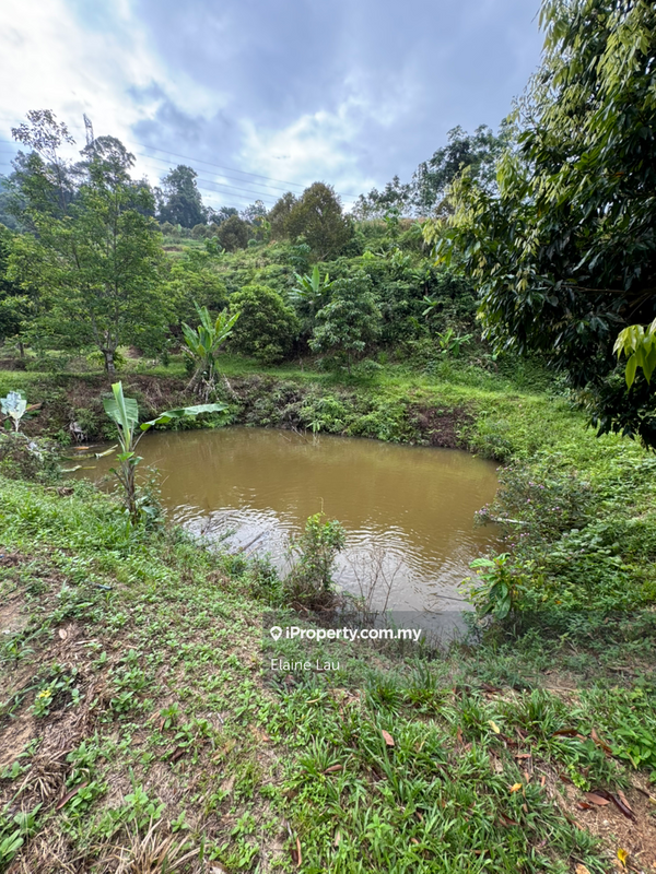 Agricultural Land for Sale in Kampung Sungai Tekali, Hulu Langat by Elaine Lau - iProperty.com.my