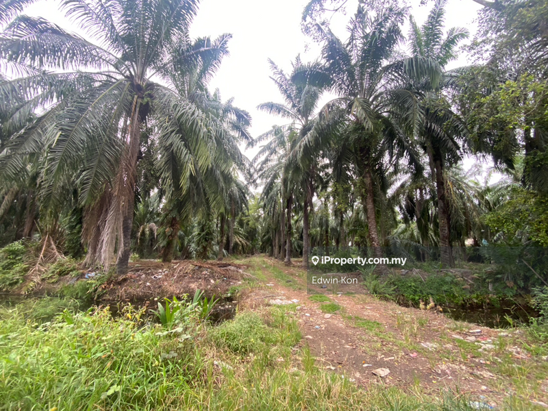 For Sale - Telok Gong Agriculture Land for Sale