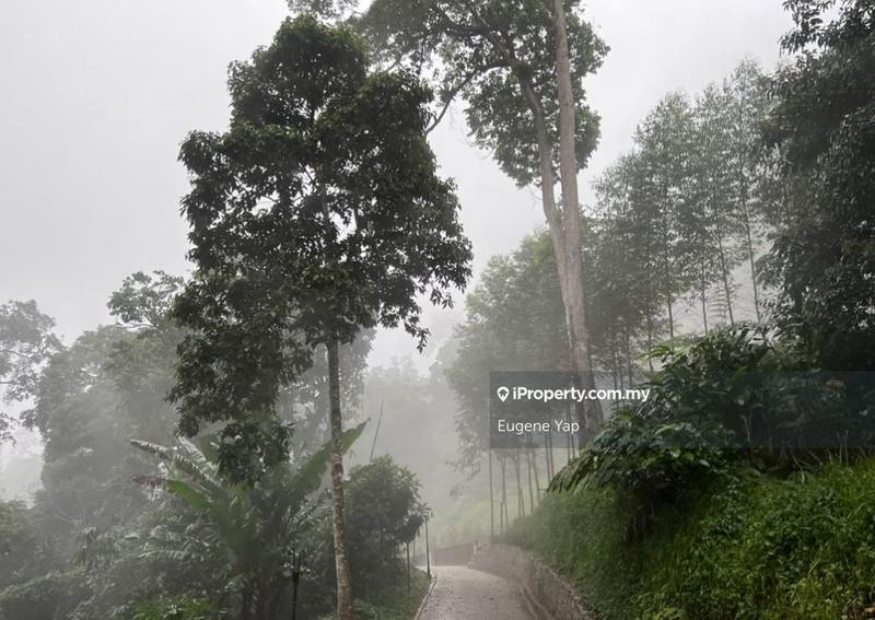 Tanah Pertanian untuk Dijual di 3 Acre Resort,Tanarimba @ Janda Baik, Bukit Tinggi, Bentong oleh Eugene Yap - iProperty.com.my
