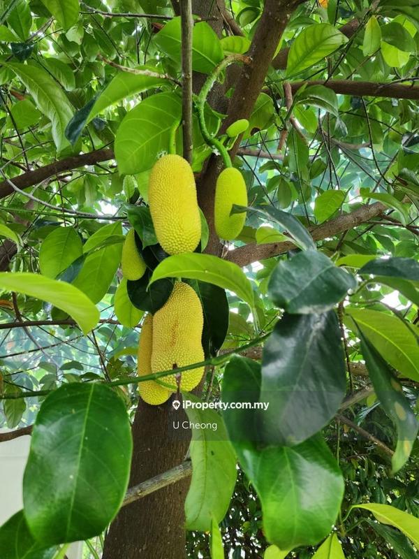 Banglo untuk Dijual di Kota Damansara, Selangor oleh U Cheong - iProperty.com.my