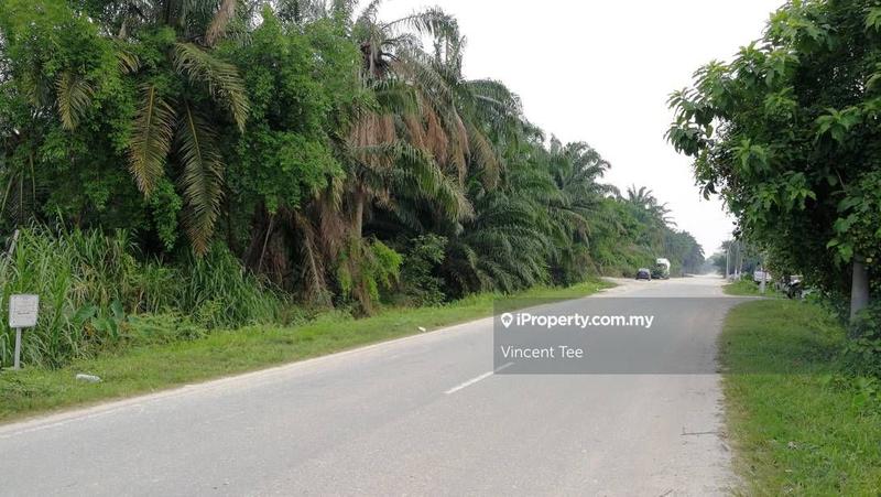 Tanah Pertanian untuk Dijual di Bukit Changgang, Banting oleh Vincent Tee - iProperty.com.my