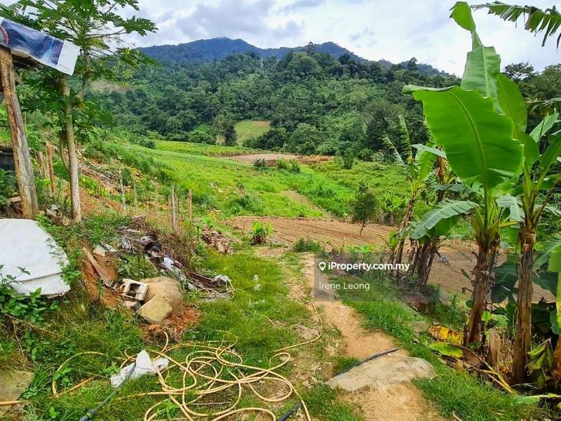 Tanah Pertanian untuk Dijual di Bukit Tinggi, Bentong oleh Irene Leong - iProperty.com.my
