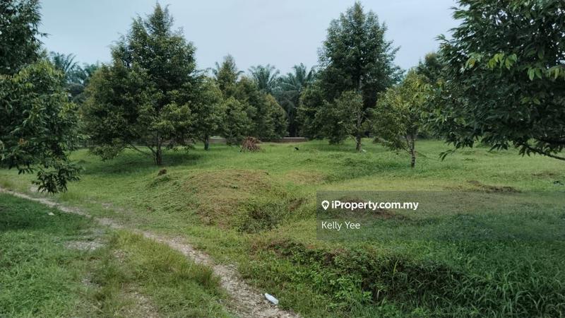 Tanah Pertanian untuk Dijual di Kampung Sungai Terap, Serdang oleh Kelly Yee - iProperty.com.my