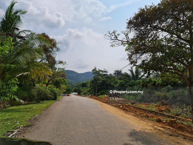 Agricultural Land for Sale in Negeri Sembilan Kuala Pilah Johol, Kuala Pilah by CY Khoo - iProperty.com.my