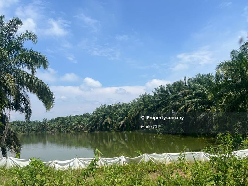 Agricultural Land for Sale in Kota Bharu, Gopeng by Marie CLP - iProperty.com.my