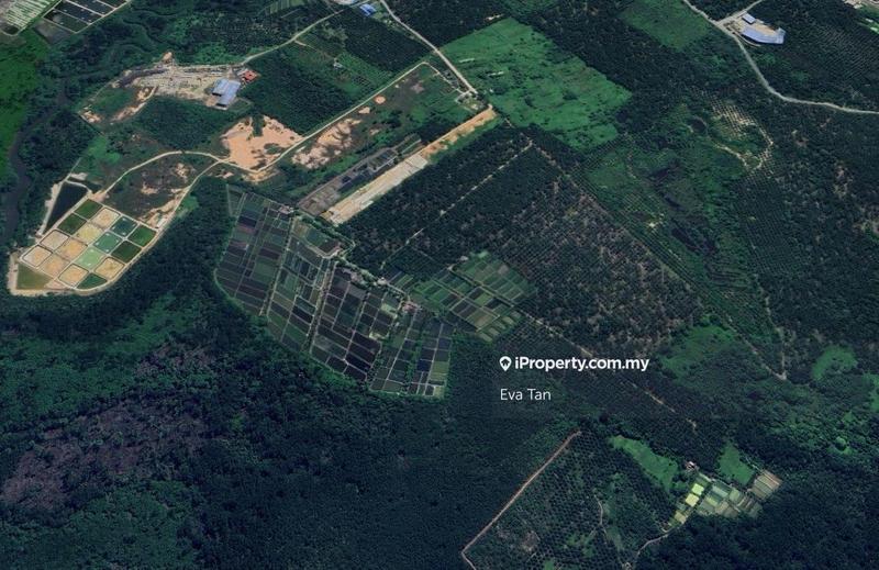 For Sale - Pontian Pekan Nanas Agriculture Land