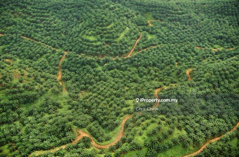 For Sale - Jalai, Taiping, Perak