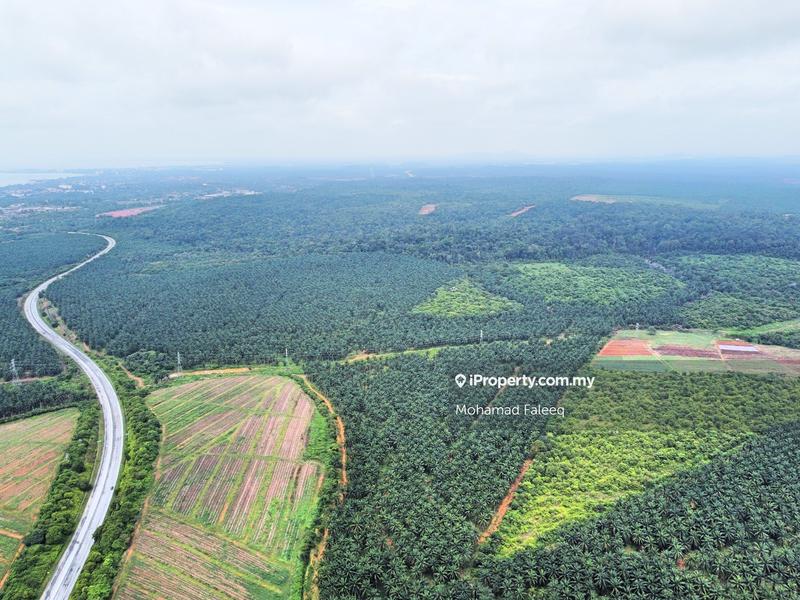 Agricultural Land for Sale in Pantai, Negeri Sembilan by Mohamad Faleeq - iProperty.com.my
