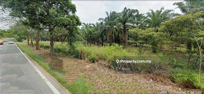 Agricultural Land for Sale in Johor Kluang Taman Puteri 1168 acres Mix deverlope, Kluang by CY Khoo - iProperty.com.my