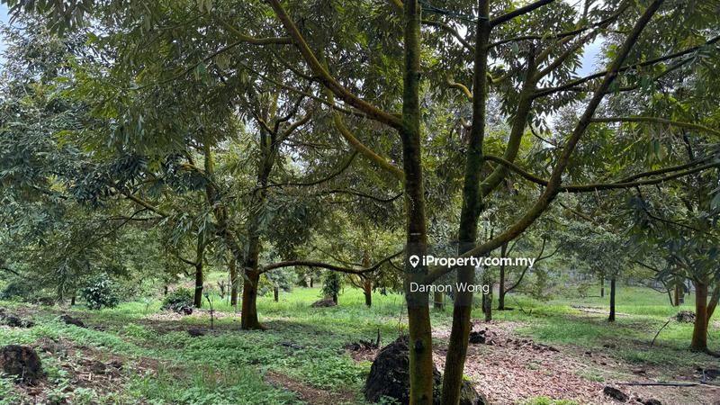 Agricultural Land for Sale in Cinta Manis, Karak by Damon Wong - iProperty.com.my