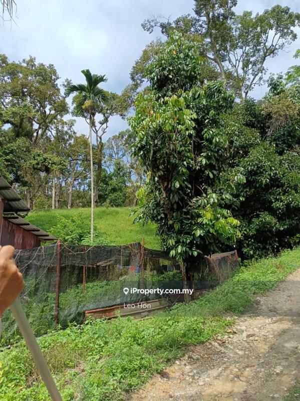 Agricultural Land for Sale in MANTIN, Seremban by Leo Hon - iProperty.com.my