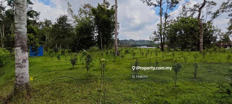 Agricultural Land for Sale in Batang Kali, Selangor by Iz Hakim - iProperty.com.my