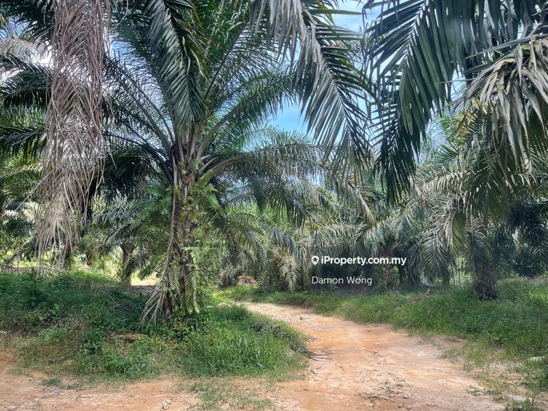 Agricultural Land for Sale in Karak, Bentong by Damon Wong - iProperty.com.my
