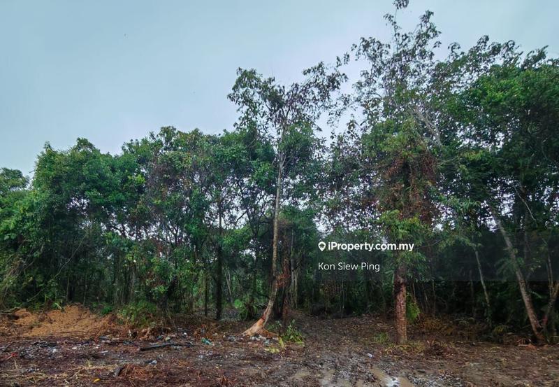 Agricultural Land for Sale in Batu Kawa, Kuching by Kon Siew Ping - iProperty.com.my