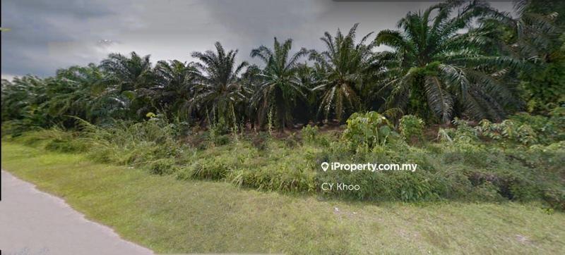 Agricultural Land for Sale in Johor Kota Tinggi Kampung Lukut 81900, Kota Tinggi by CY Khoo - iProperty.com.my
