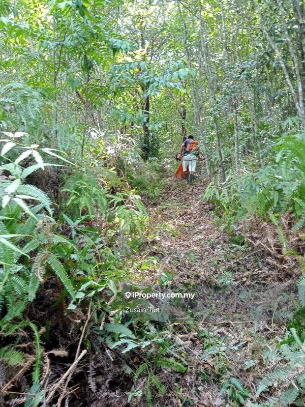 Agricultural Land for Sale in Teluk Bahang, Penang by Zusain Tan - iProperty.com.my
