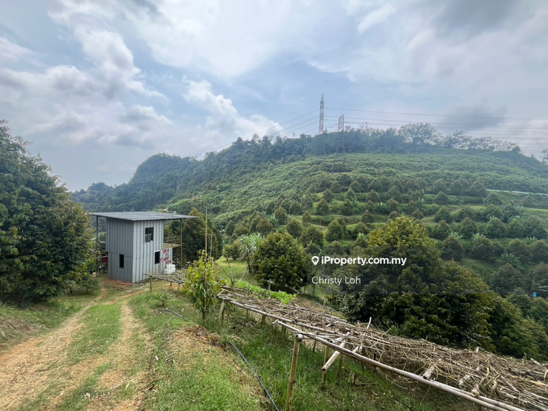 Tanah Pertanian untuk Dijual di Kawasan Perindustrian Bentong, Bentong oleh Christy Loh - iProperty.com.my