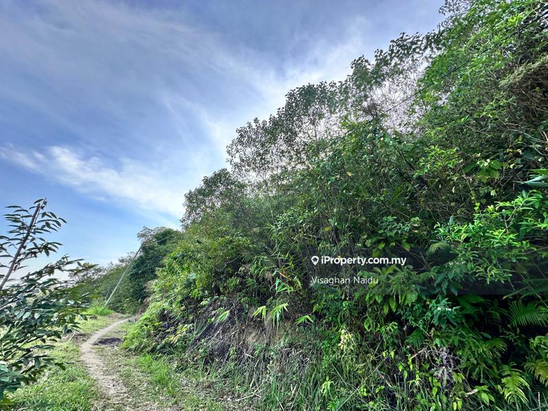 Tanah Pertanian untuk Dijual di Balik Pulau, Penang oleh Visaghan Naidu - iProperty.com.my