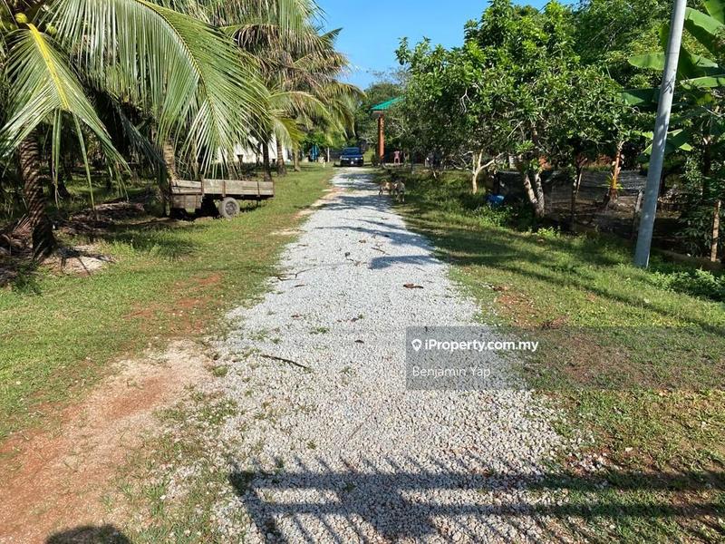Agricultural Land for Sale in Panchor, Durian Tunggal by Benjamin Yap - iProperty.com.my