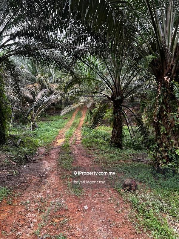 Industrial Land for Sale in Sepang, Selangor by hayati.iagent.my - iProperty.com.my