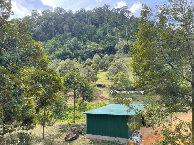 Agricultural Land for Sale in Karak, Bentong by Damon Wong - iProperty.com.my