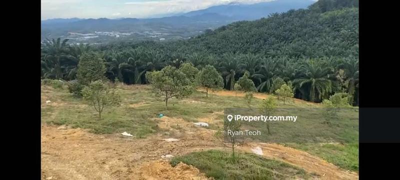 For Sale - Serendah Orchard (Agricultural Land)
