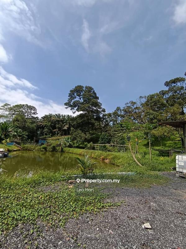Agricultural Land for Sale in MANTIN, Seremban by Leo Hon - iProperty.com.my