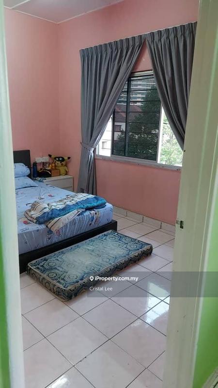 For Sale - Sri Begonia