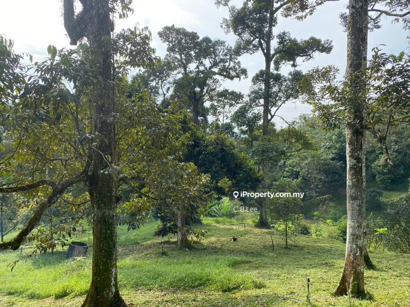 Residential Land for Sale in Broga, Lenggeng by C.B.Lee - iProperty.com.my