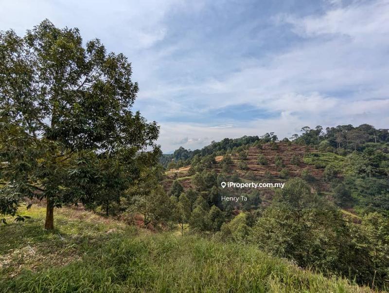 Agricultural Land for Sale in Bandar Baru Kuala Lipis, Kuala Lipis by Henry Ta - iProperty.com.my