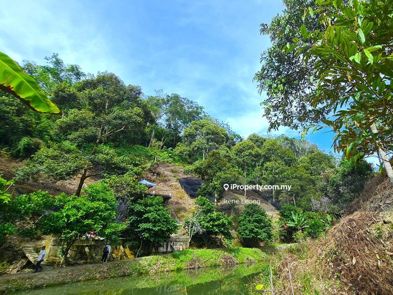 Agricultural Land for Sale in Bentong, Pahang by Irene Leong - iProperty.com.my