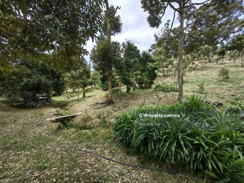 Tanah Pertanian untuk Dijual di Cheroh, Raub oleh Vincent Tee - iProperty.com.my