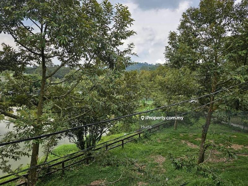 Agricultural Land for Sale in Pekan Batu 14, Hulu Langat by Huda - iProperty.com.my