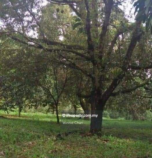 Agricultural Land for Sale in Tapah Perak 550 Acres Freehold Agriculture Land, Tapah by Winnie Chan - iProperty.com.my