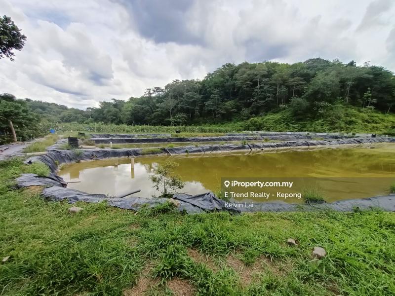 Tanah Pertanian untuk Dijual di Bukit Beruntung, Rawang oleh Kelvin Lai - iProperty.com.my