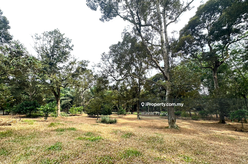Agricultural Land for Sale in Road Side Bukit Lintang Ayer Molek Jasin, Ayer Molek by Winnie Phang - iProperty.com.my