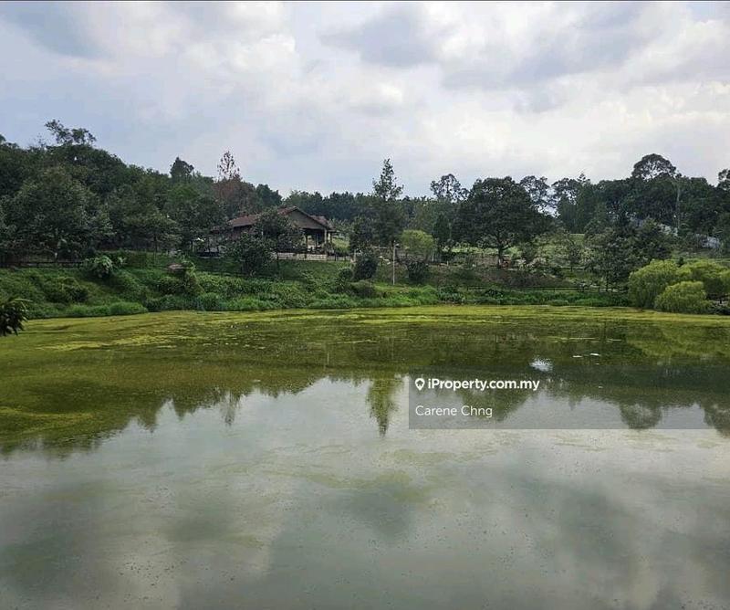 Agricultural Land for Sale in Hulu Langat, Selangor by Carene Chng - iProperty.com.my