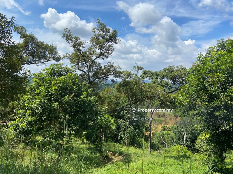 Agricultural Land for Sale in Kampung Bukit Cherakah, Shah Alam by Adrian Oon - iProperty.com.my