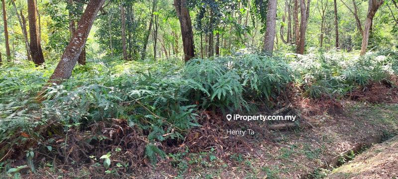 Bungalow Land for Sale in Bukit Tinggi, Bentong by Henry Ta - iProperty.com.my