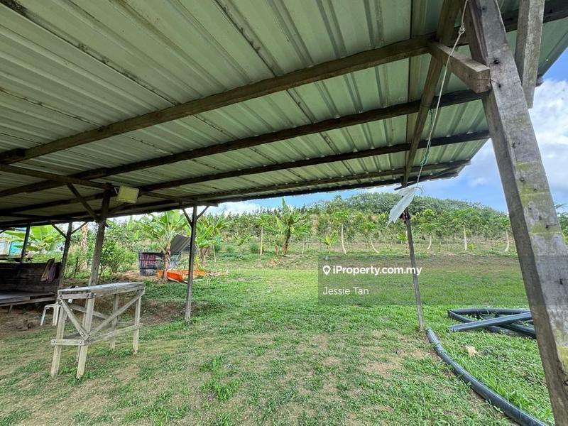Tanah Pertanian untuk Dijual di Senai, Johor oleh Jessie Tan - iProperty.com.my