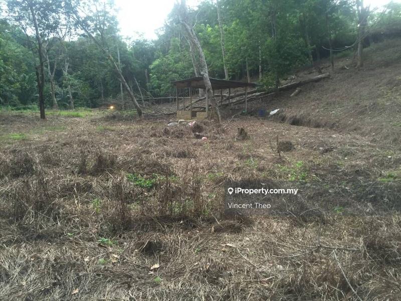 Agricultural Land for Sale in Kampung Tempoyang, Kuala Lipis by Vincent Theo - iProperty.com.my