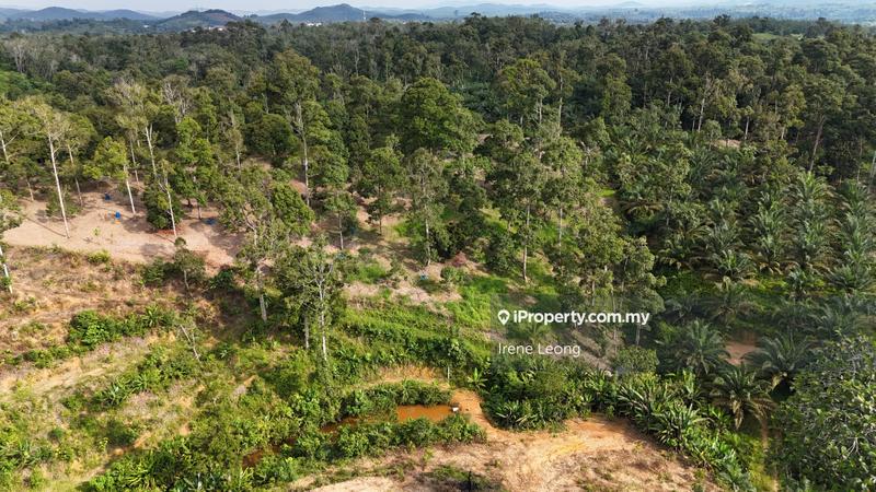 For Sale - 4.544 acres Karak Kolej Komuniti Bentong Matured Durian Land For Sale
